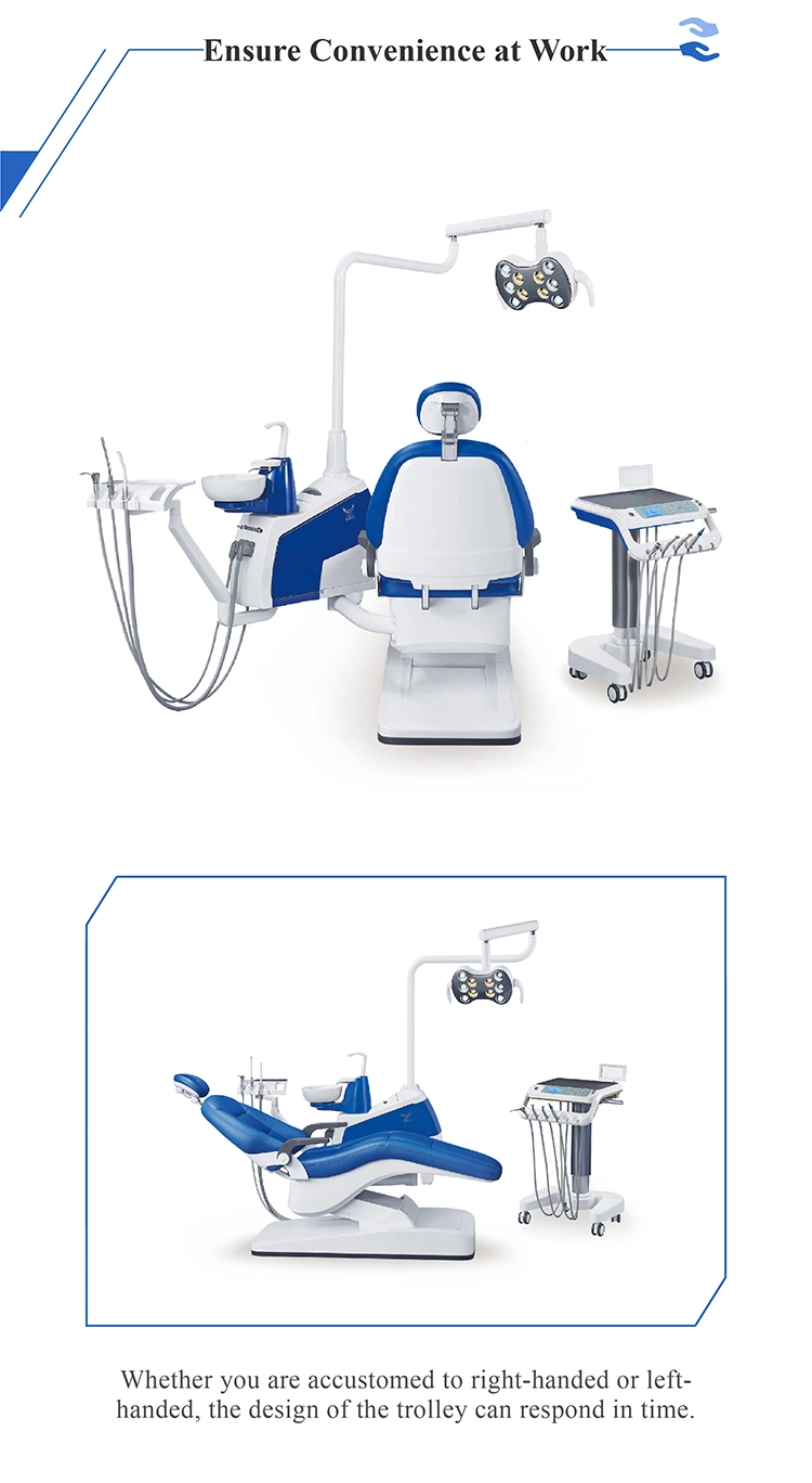 Leather Cushion Ce&ISO Approved Dental Chair Dental Equipment India/Latest Dental Products/Eagle Dental Supply